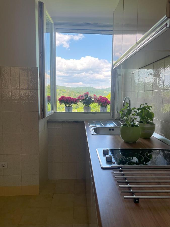 Apartment Kastel Pazin Esterno foto